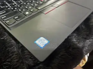 Lenovo ThinkPad T-590