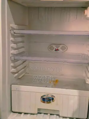 Singer Fridge