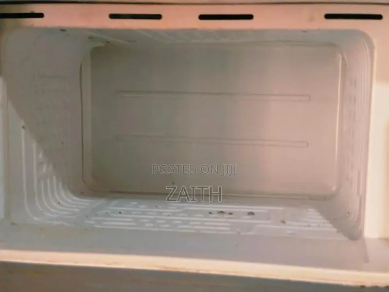 Singer Fridge