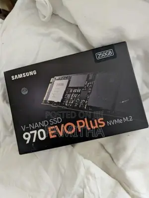 Samsung M.2 970 Evo Plus 250GB