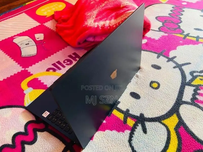 NEC Lavie Laptop