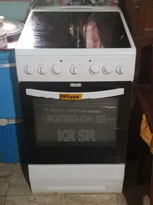 Electric Oven (Imported From France)