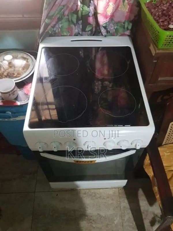 Electric Oven (Imported From France)