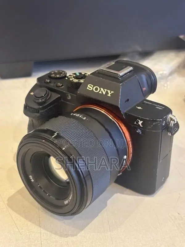 Two Cameras A7S 2 With A72 Sony Mirrorless Camera Lenses