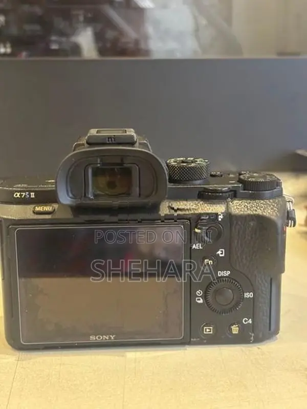 Two Cameras A7S 2 With A72 Sony Mirrorless Camera Lenses