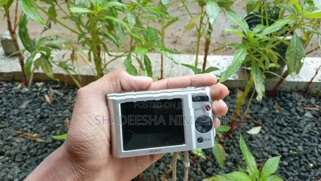 Sony Cyber-Shot Dsc-800