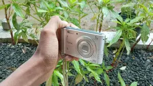 Sony Cyber-Shot Dsc-800