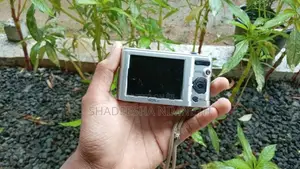 Sony Cyber-Shot Dsc-800