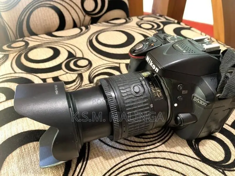 Nikon D5300 with 18-55mm Kit Lens