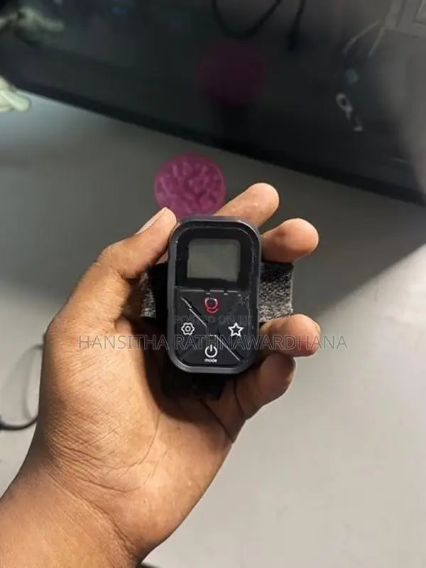 Go Pro Remote