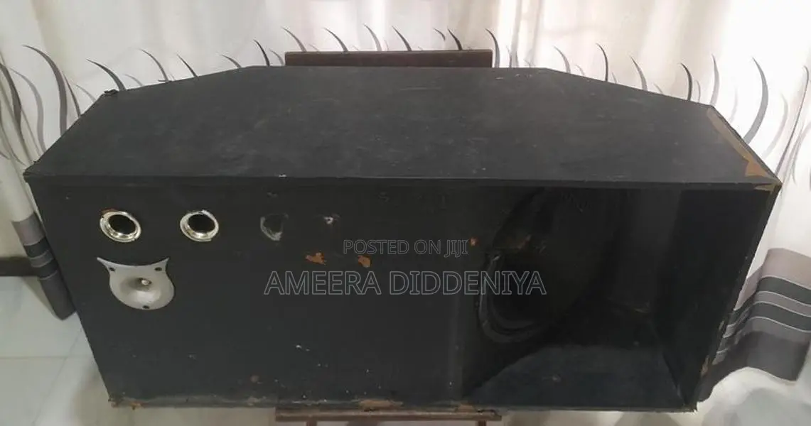 Woofer Speaker Working