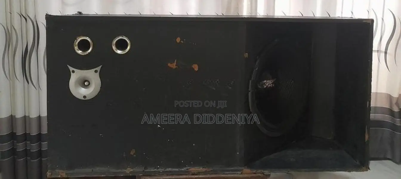 Woofer Speaker Working
