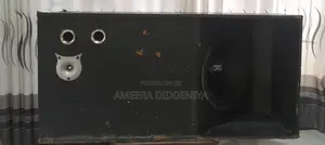 Woofer Speaker Working