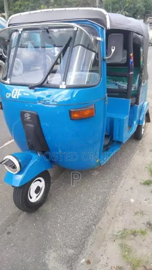 Bajaj RE 2 Stroke 2006 Three Wheel (Used)