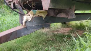 Massey-Ferguson 135 DL Multipower 1998 Tractor (Used)