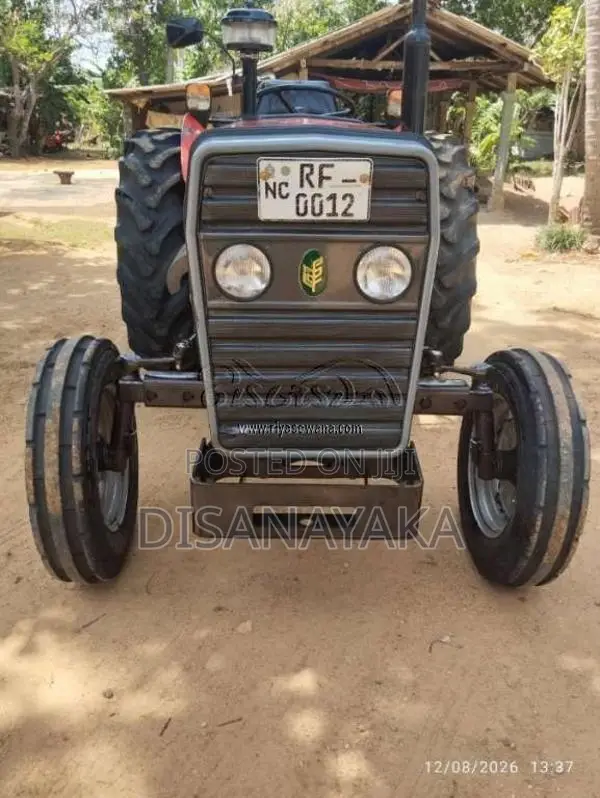 TAFE 45DI 2019 Tractor (Used)