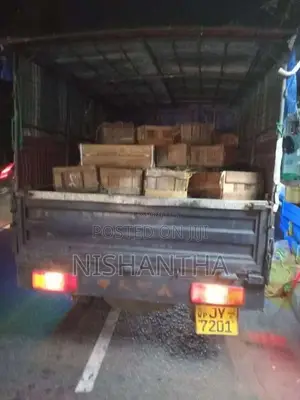 Tata 207 2005 Pickup (Used)