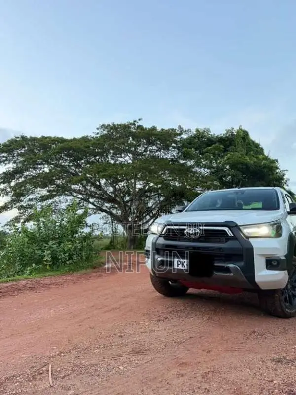 Toyota Hilux 2025 Pickup (Used)