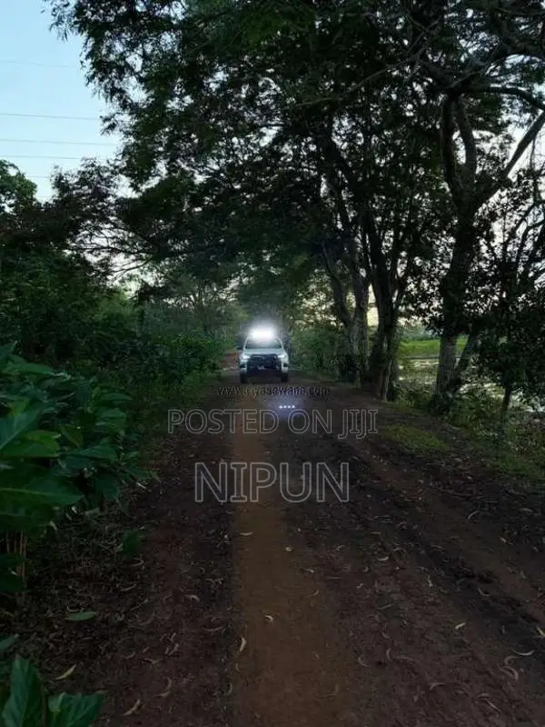 Toyota Hilux 2025 Pickup (Used)