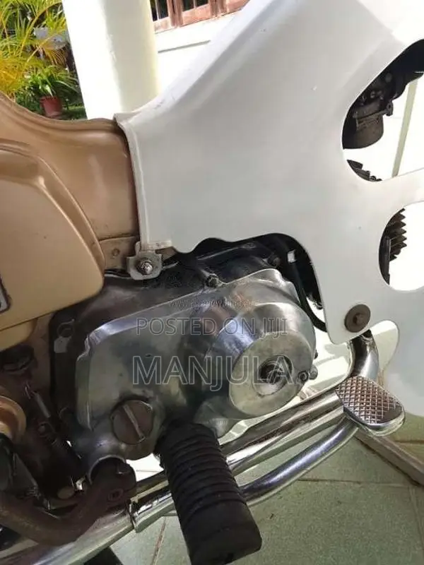 Honda Super Cub Customer 2018 Motorbike (Used)