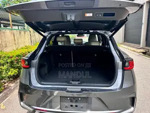 Toyota Lexus LXB 2024 SUV (Used)