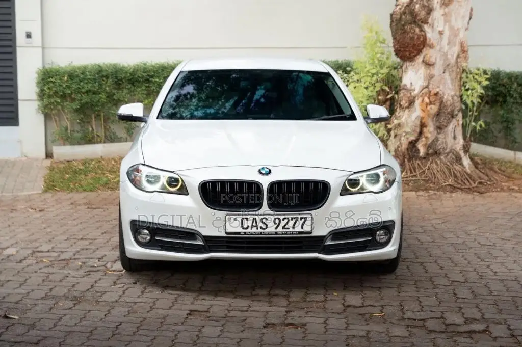 BMW 520D 2015 Car (Used)