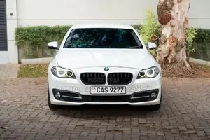 BMW 520D 2015 Car (Used)