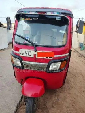 TVS King 2010 Three Wheel (Used)