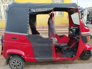 TVS King 2010 Three Wheel (Used)