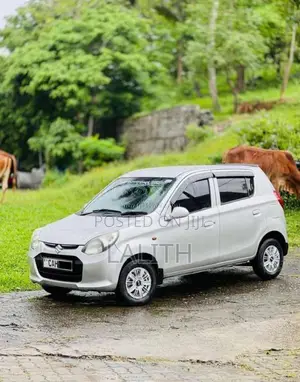 Suzuki Alto 2015 Car (Used)