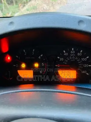 Nissan Navara 2008 Pickup (Used)