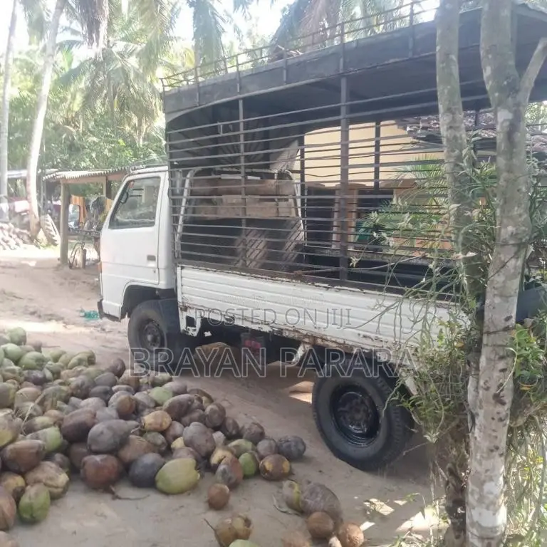 Isuzu Isuzu150 1980 Lorry (Used)