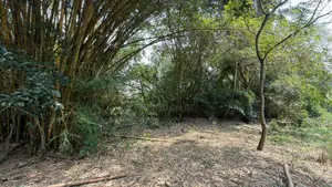 Land for Selling