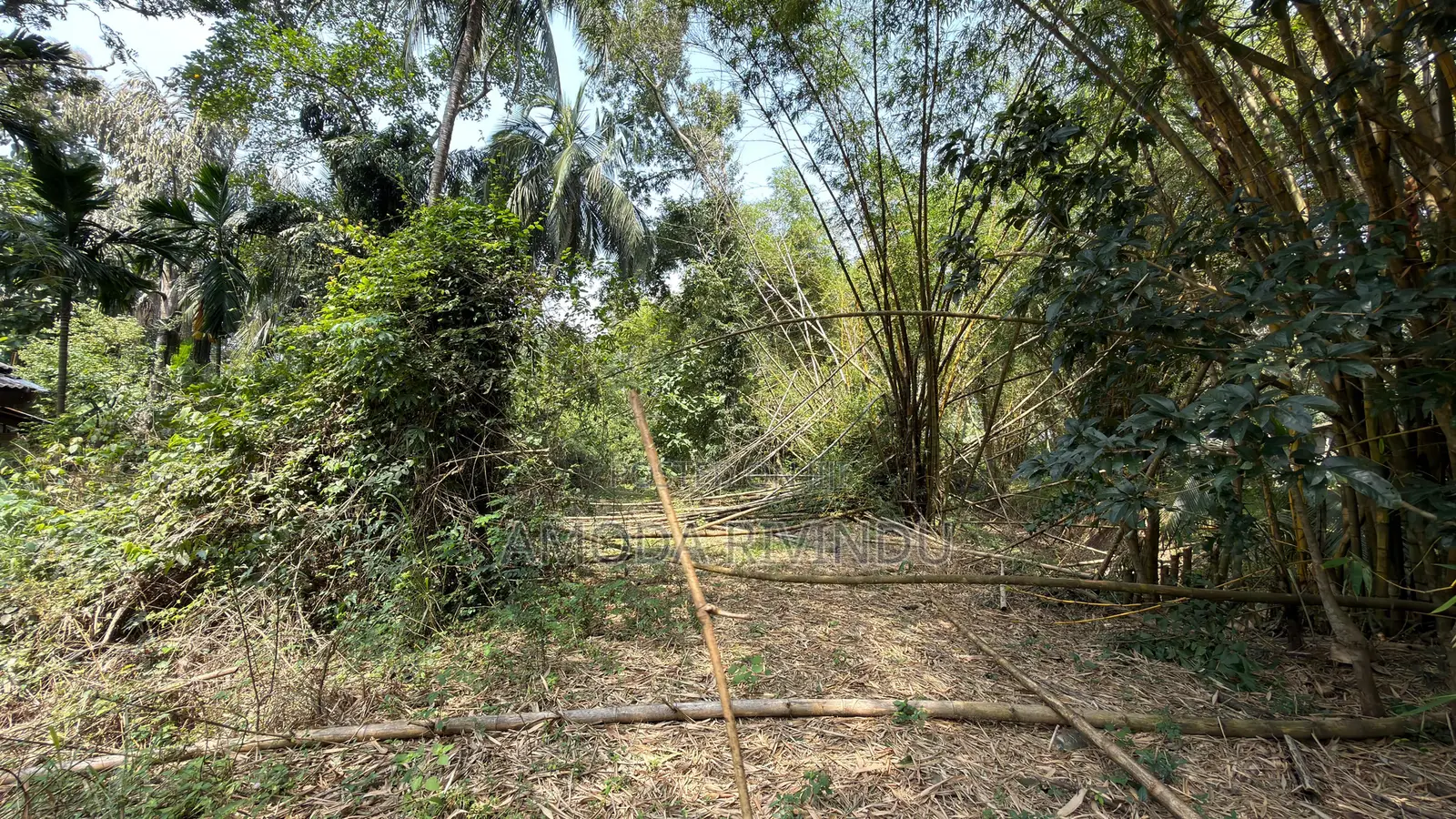 Land for Selling