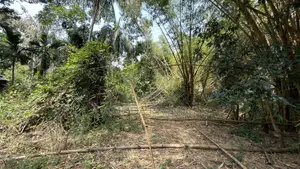 Land for Selling
