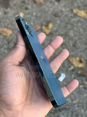 Apple iPhone 12 Pro 256GB (Used)