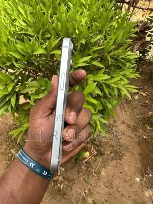 Apple iPhone 15 128 Gb (Used)