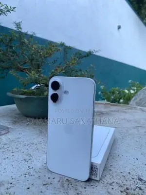 Apple iPhone 17 (Used)