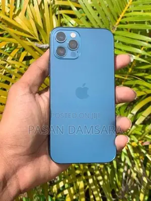 Apple iPhone 12 Pro 256 (Used)