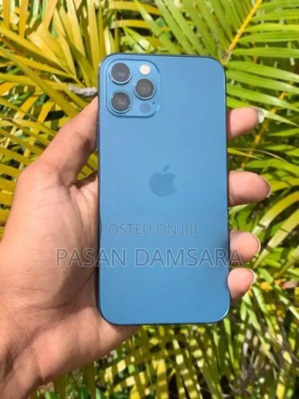 Apple iPhone 12 Pro 256 (Used)