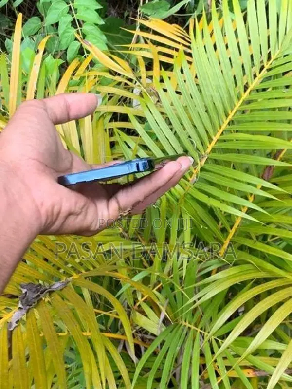 Apple iPhone 12 Pro 256 (Used)