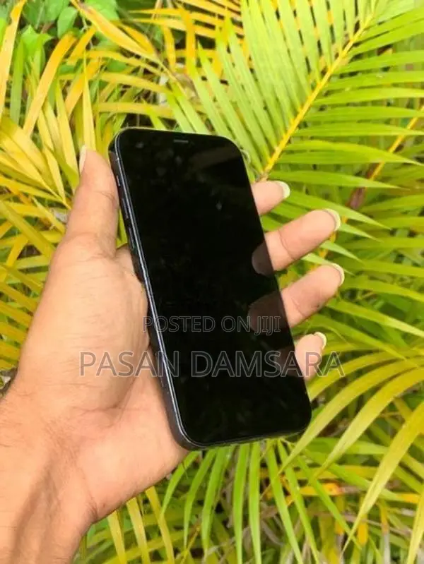 Apple iPhone 12 Pro 256 (Used)