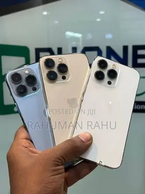 Apple iPhone 13 Pro 256GB (Used)