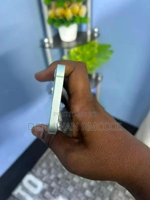Apple iPhone 12 mini (Used)