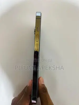 Apple iPhone 13 Pro (Used)