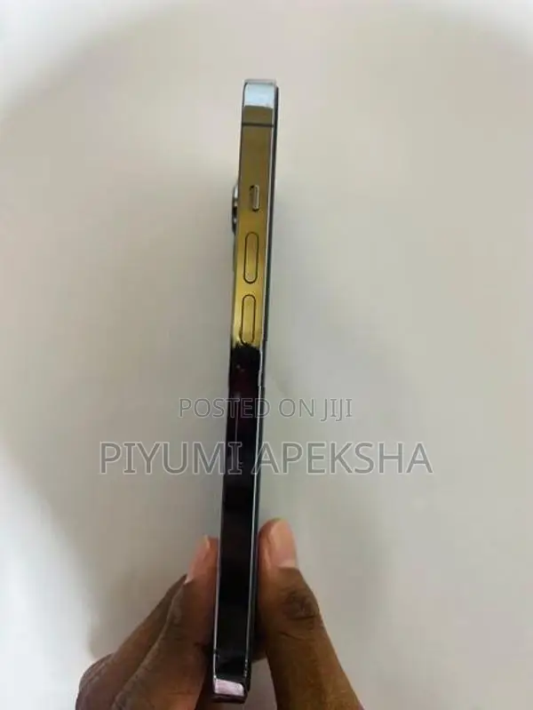Apple iPhone 13 Pro (Used)