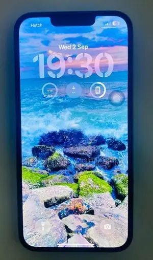 Apple iPhone 13 Pro (Used)