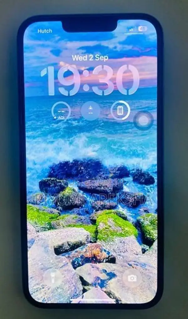 Apple iPhone 13 Pro (Used)