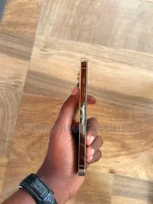 Apple iPhone 14 Pro (Used)