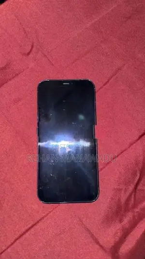Apple iPhone 12 (Used)